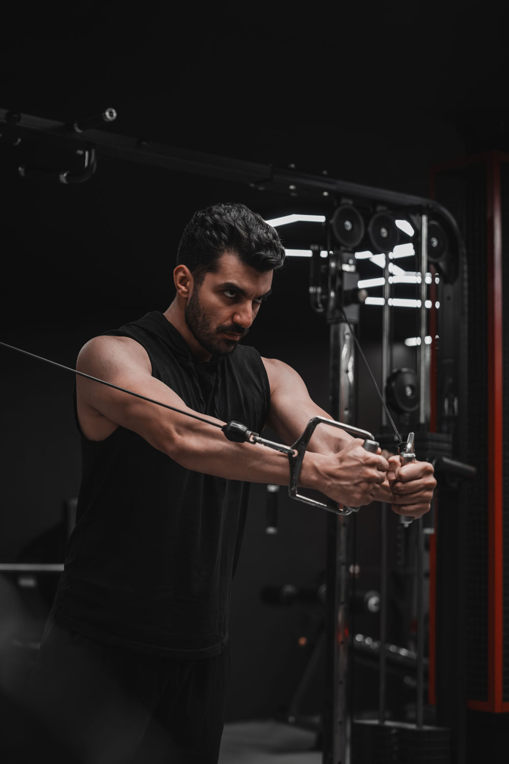 fitplus-2 fitplus-2